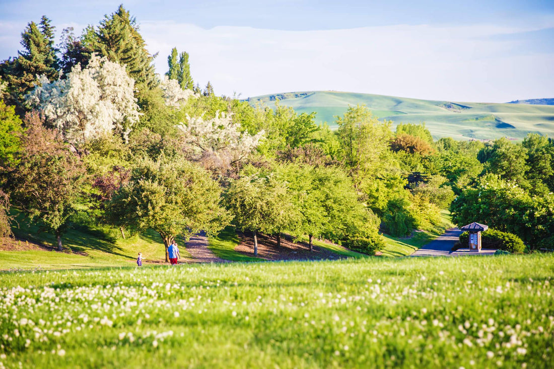 Best Graphics for Streamers Agencies and Companies in Moscow, Idaho