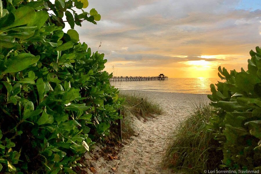 Top or Best Custom Graphics for Videos Agencies and Companies in Daytona Beach, Florida