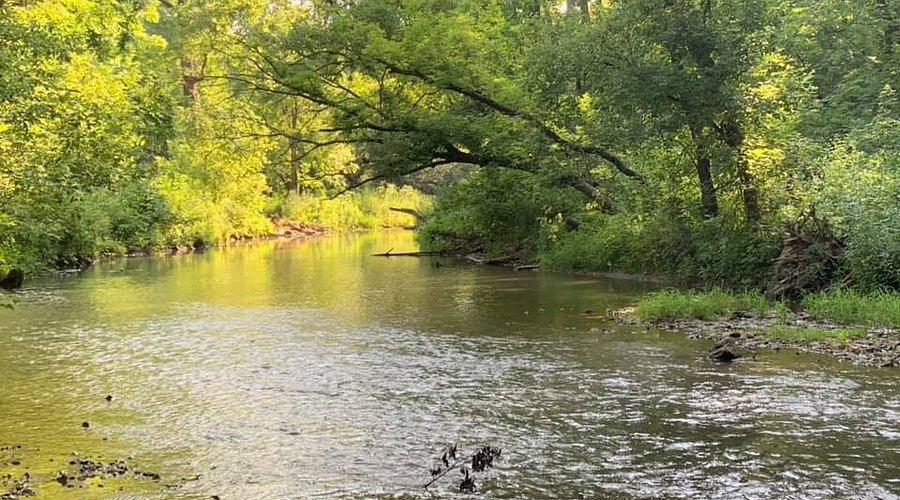 Top or Best Logo Animation Agencies and Companies in Dubuque, Iowa