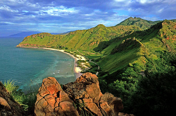 Best X (Twitter) Management Companies in Timor-Leste