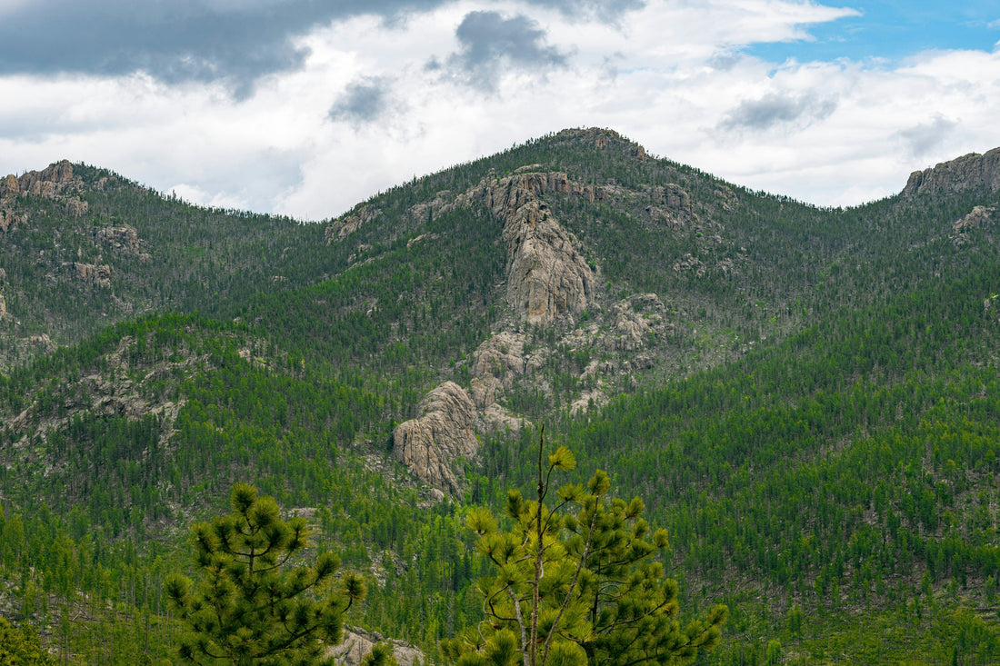 Top and Best Brochure Design Agencies and Companies in Mitchell, South Dakota