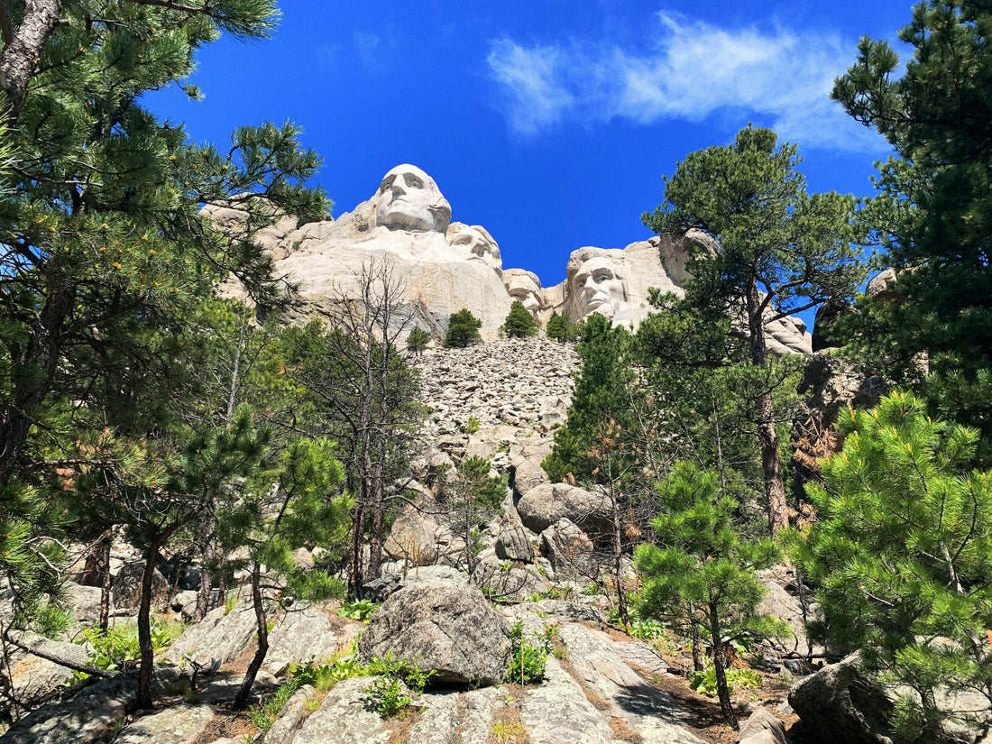 Top and Best Catalog Design Agencies and Companies in Spearfish, South Dakota