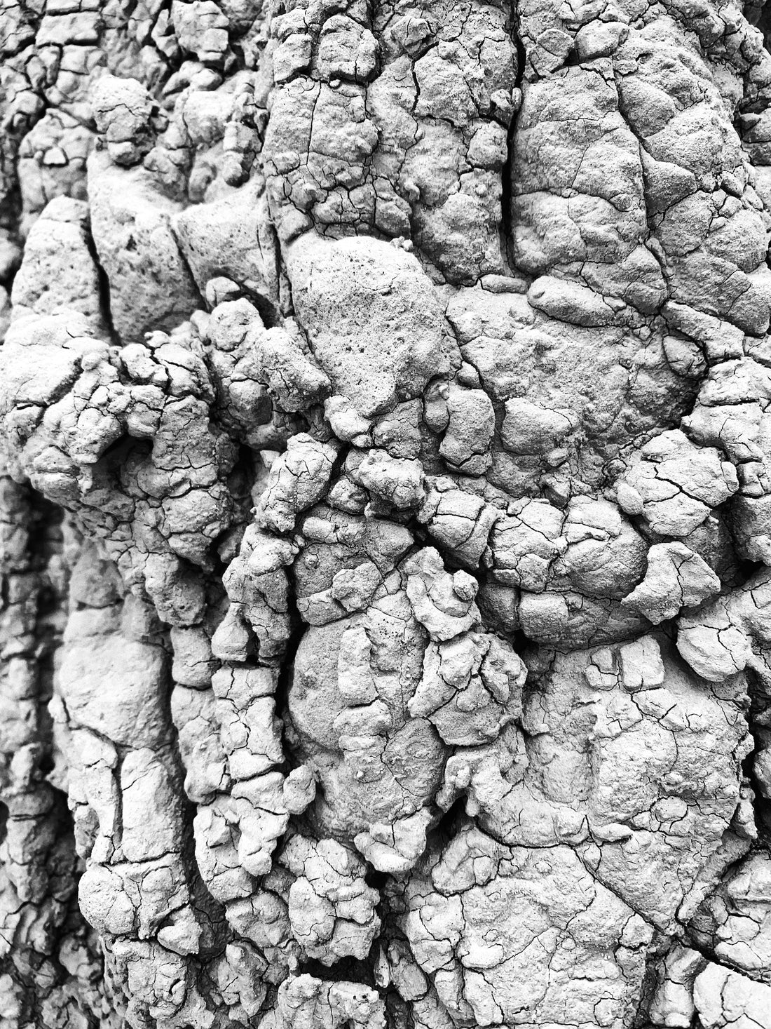 Top and Best Animation and Motion Graphics Agencies and Companies in Spearfish, South Dakota