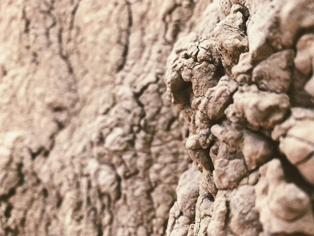 Top and Best Social Media Management Agencies and Companies in Spearfish, South Dakota