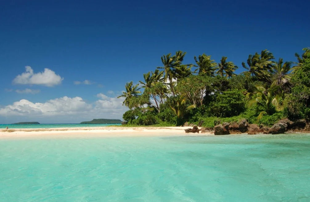 Best X (Twitter) Management Companies in Tonga