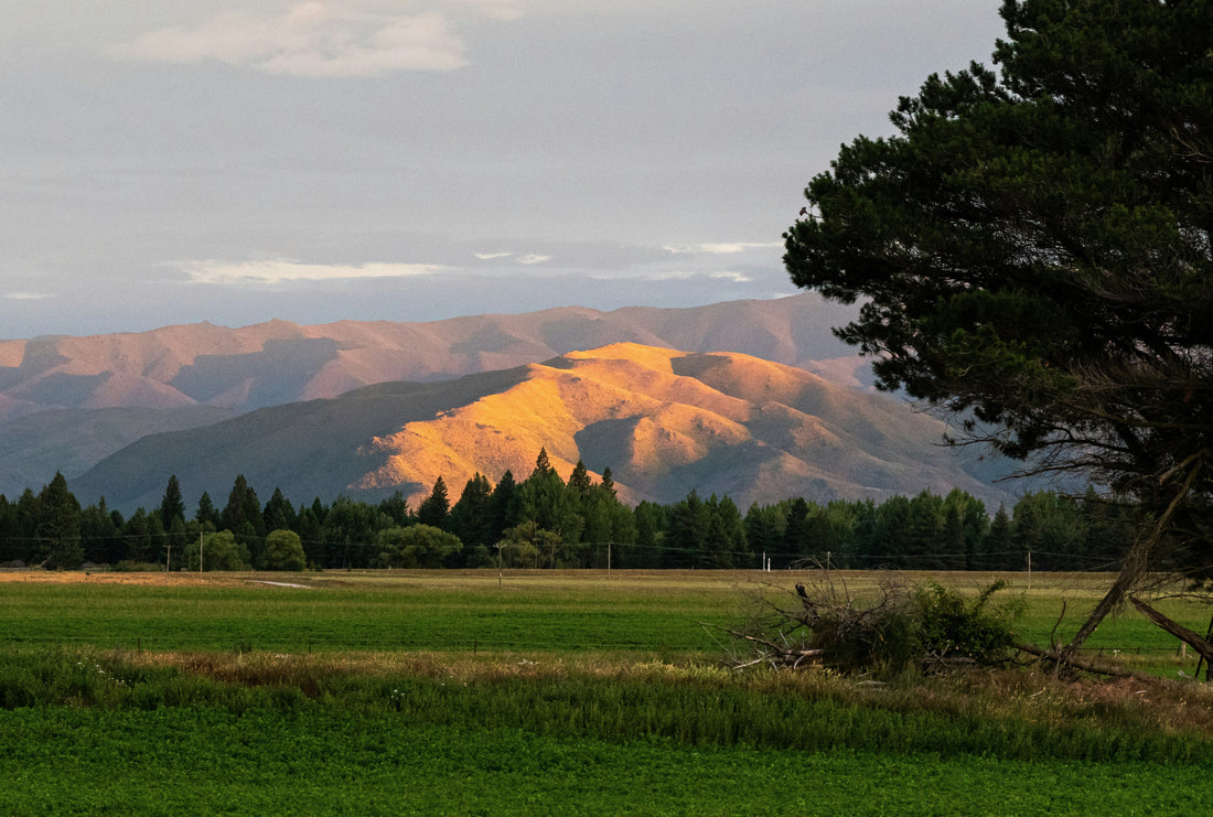Top and Best TikTok Management Agencies and Companies in Bend, Oregon