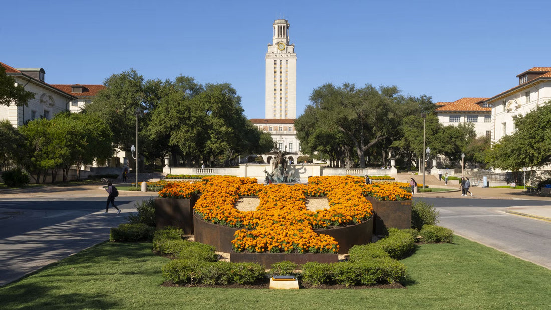 Top or Best Influencer Brand Partnership Agencies and Companies in Texas