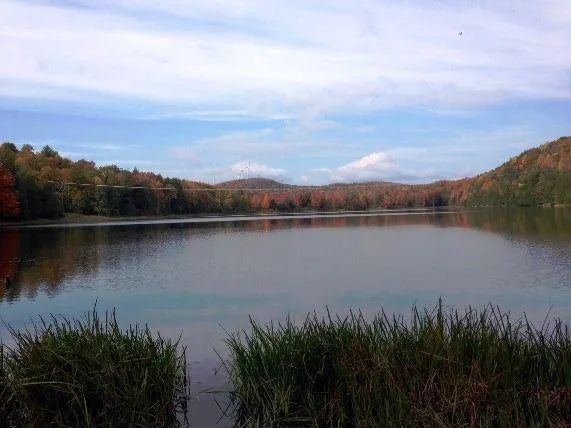 Top or Best Social Media Design Agencies and Companies in Milton, Vermont