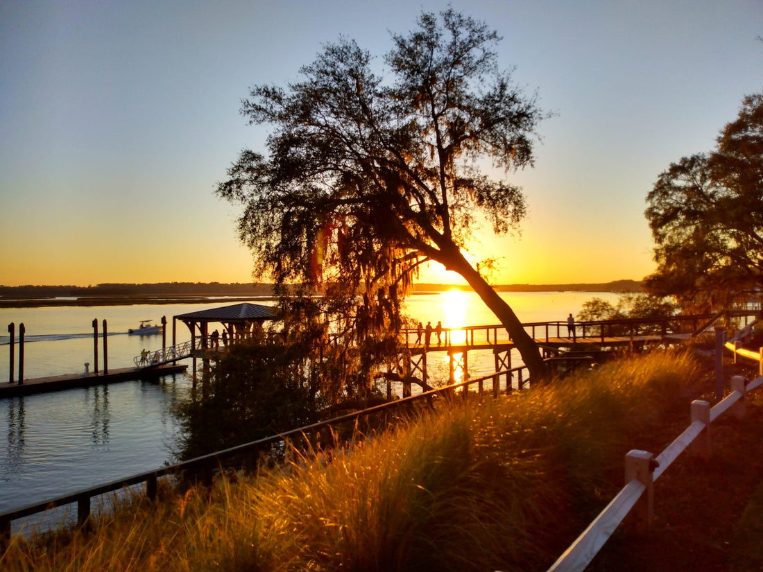 Top or Best Brochure Design Agencies and Companies in Bluffton, South Carolina