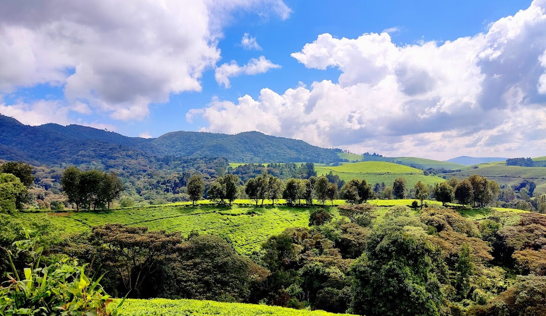 Top Social Media Management Companies in Burundi