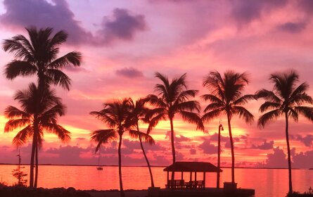 Top or Best Brand Identity Package Agencies and Companies in Fort Lauderdale, Florida