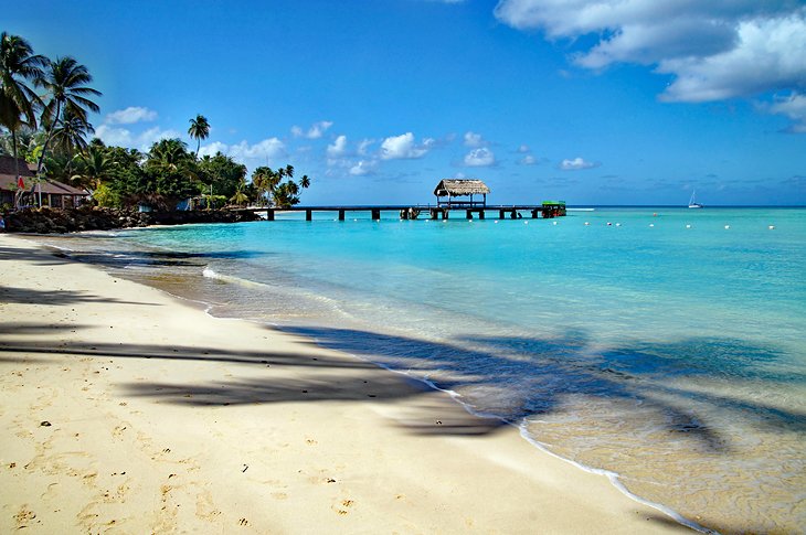 Top Postcard Design Agencies in Trinidad and Tobago