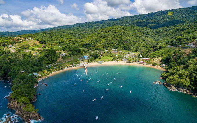 Top Animation & Motion Graphics Design Agencies in Trinidad and Tobago