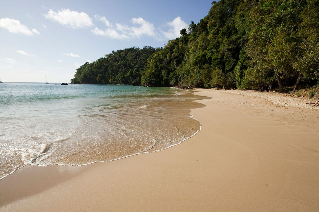 Top Menu Design Agencies in Trinidad and Tobago