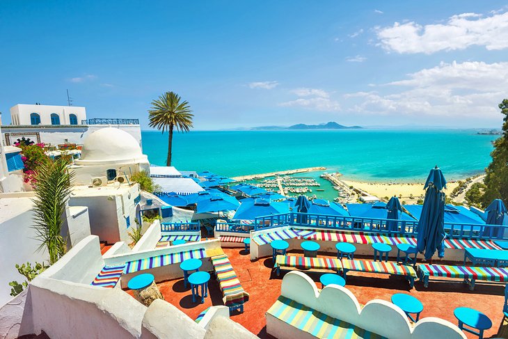 Best X (Twitter) Management Companies in Tunisia