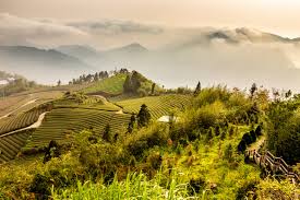 Top Postcard Design Agencies in Taiwan