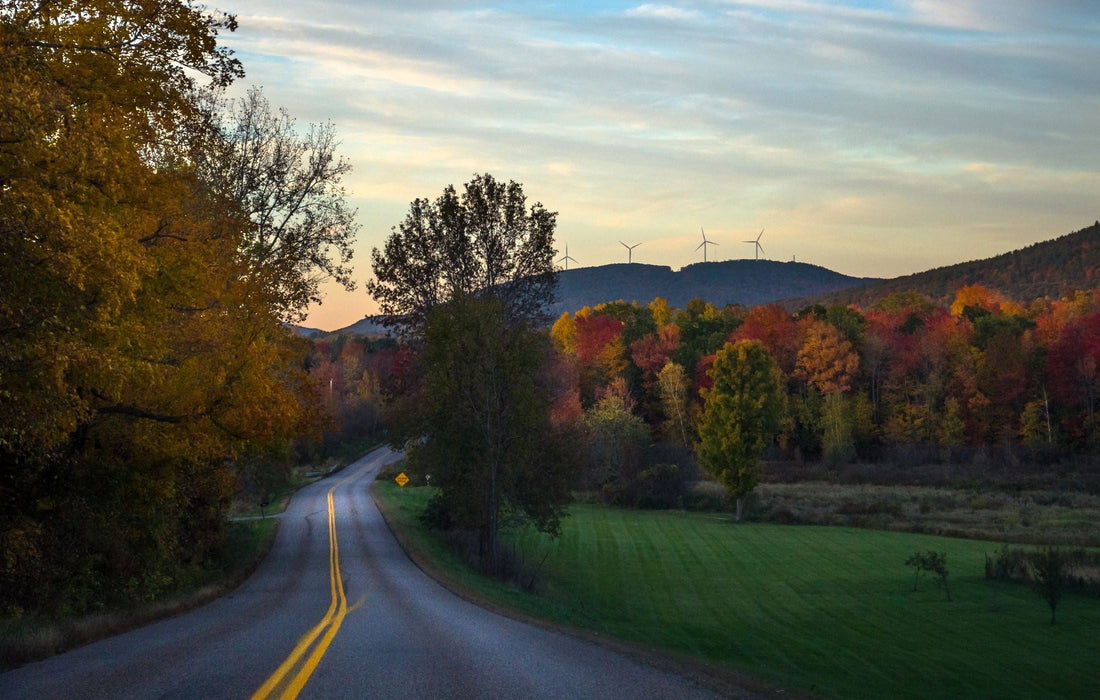 Top or Best Graphic Design Agencies and Companies in Milton, Vermont