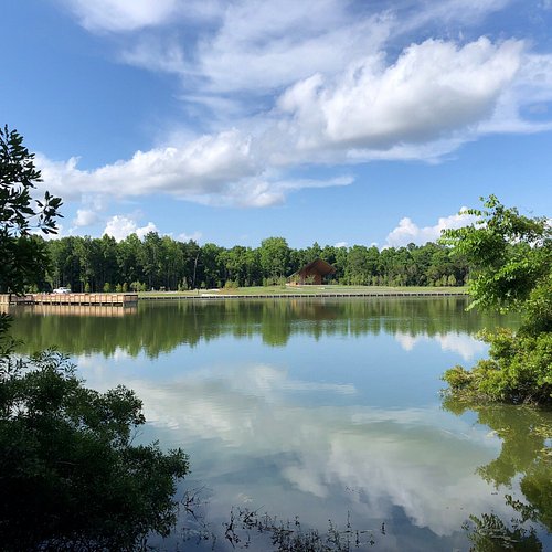 Top or Best Brochure Design Agencies and Companies in Summerville, South Carolina