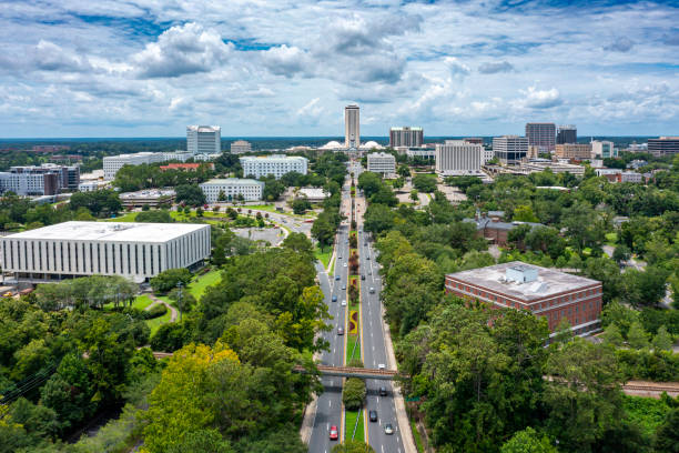Top or Best App UI/UX Design Agencies and Companies in Tallahassee, Florida