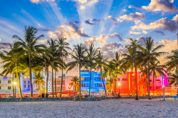 Top or Best App UI/UX Design Agencies and Companies in Miami Beach, Florida