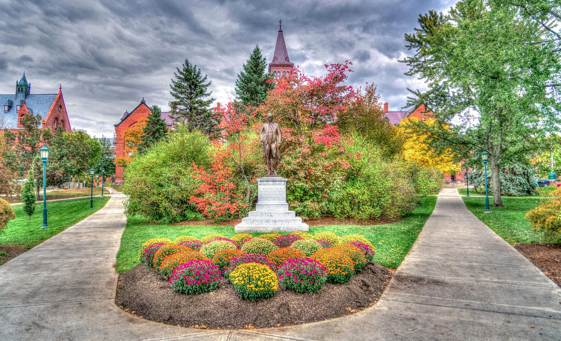 Top 5 Poster Design Agencies in Vermont