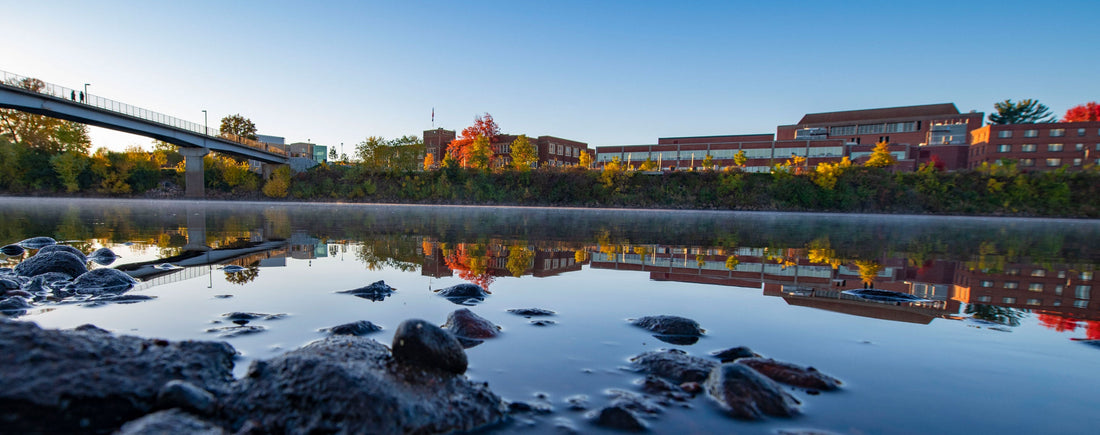 Top or Best Tattoo Design Agencies and Companies in Eau Claire, Wisconsin