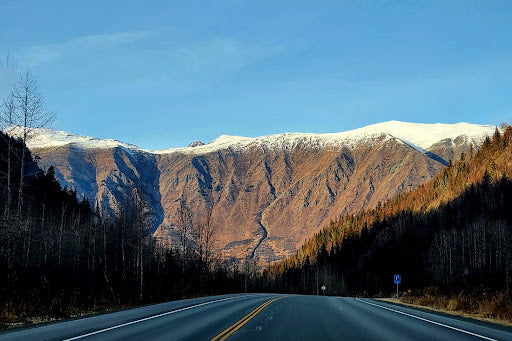 Top or Best Animation & Motion Graphics Agencies and Companies in Kalifornsky, Alaska