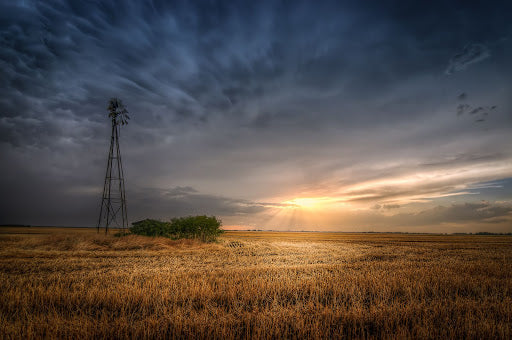 Top or Best Infographic Design Agencies and Companies in Dodge City, Kansas