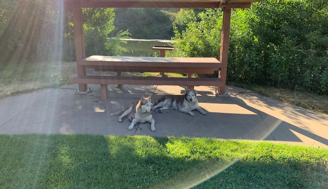 Top or Best Cartoon and Comic Agencies and Companies in Layton, Utah