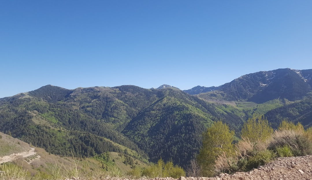 Top or Best Cartoons and Comics Agencies and Companies in Herriman, Utah