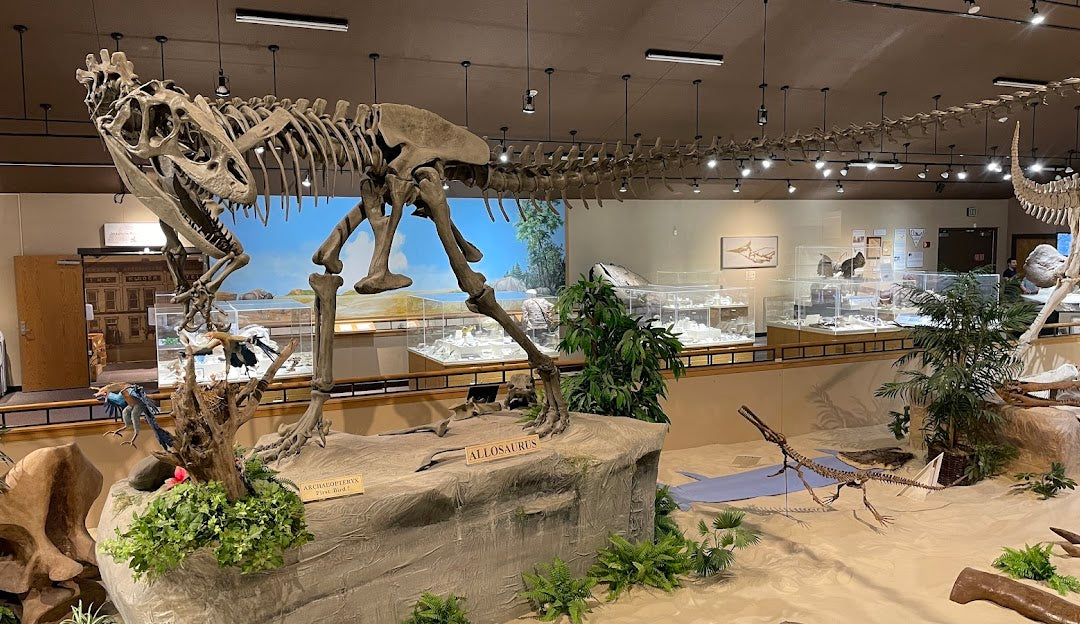 Top or Best Brand Identity Package Agencies and Companies in Dickinson, North Dakota