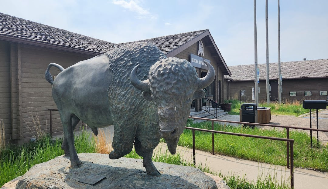 Top or Best Cartoon and Comic Artists and Agencies in Jamestown, North Dakota