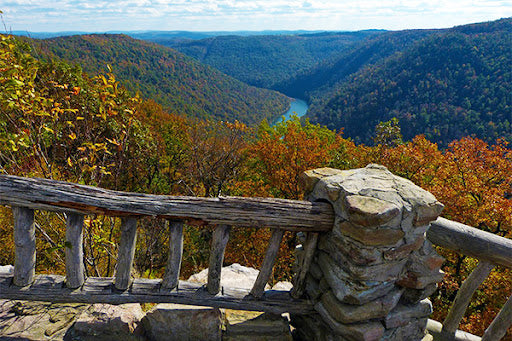 Top or Best Tattoo Design Agencies and Companies in Teays Valley, West Virginia