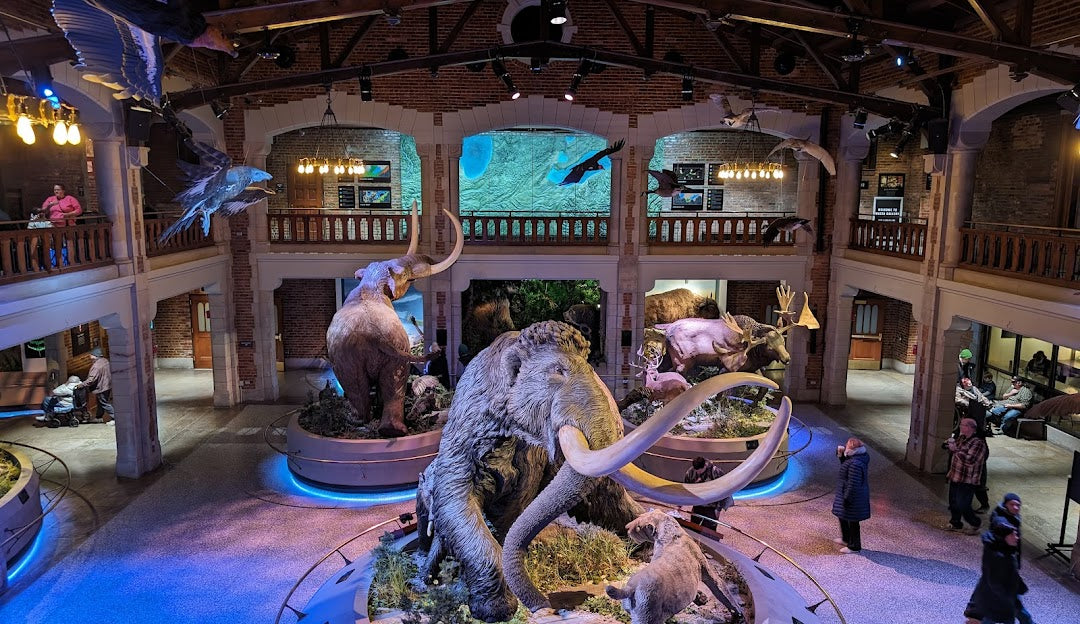 Top or Best App UI/UX Design Agencies and Companies in Toledo, Ohio