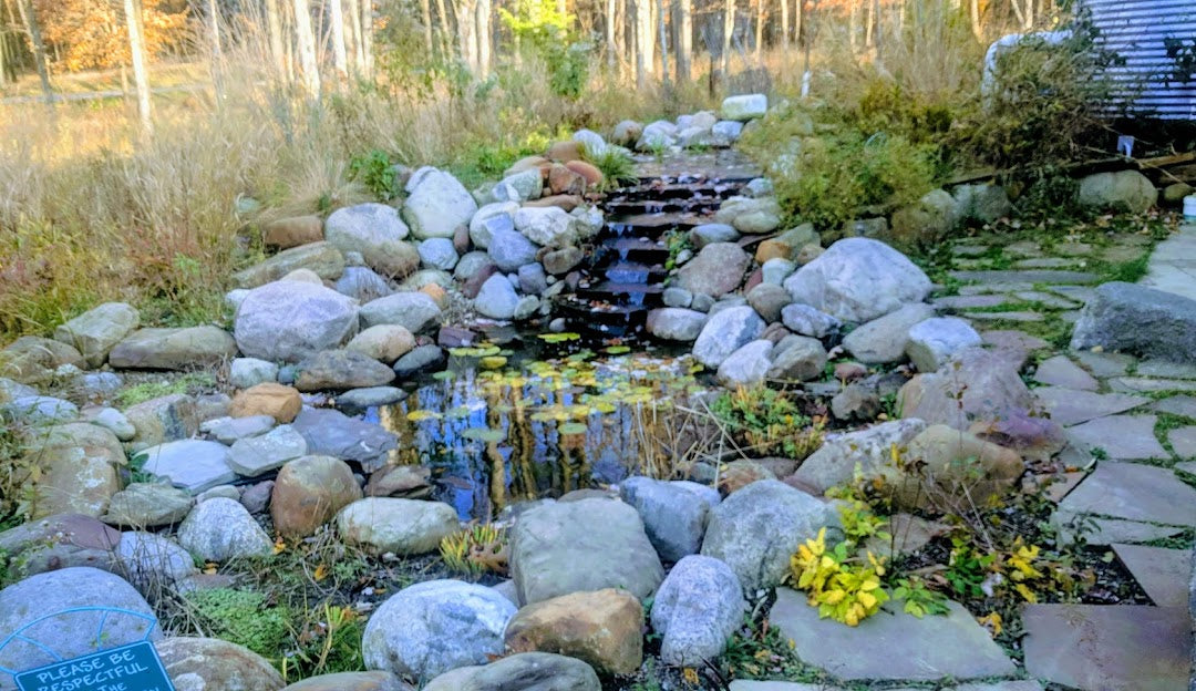 Top or Best Drawing and Illustration Agencies and Companies in Parma, Ohio