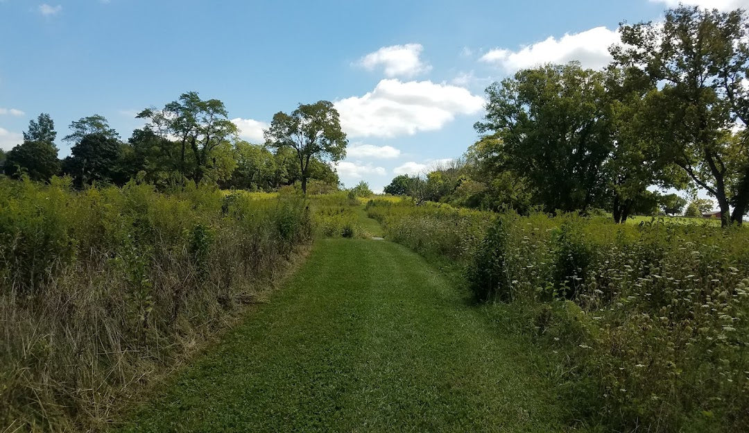 Top or Best Direct Mail Design Agencies and Companies in Hamilton, Ohio