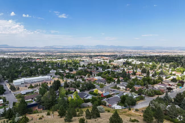 Top or Best Cartoon & Comic Agencies and Companies in Helena Valley Southeast, Montana