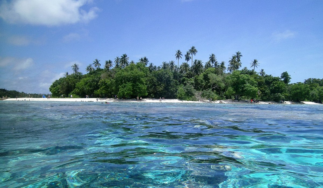 Top 5 Presentation Design Agencies in Papua New Guinea