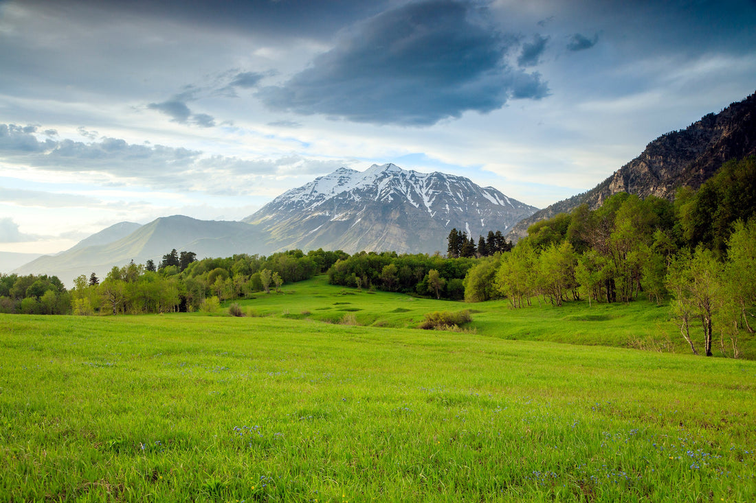 Top or Best Graphic Design Subscription Agencies and Companies in Orem, Utah
