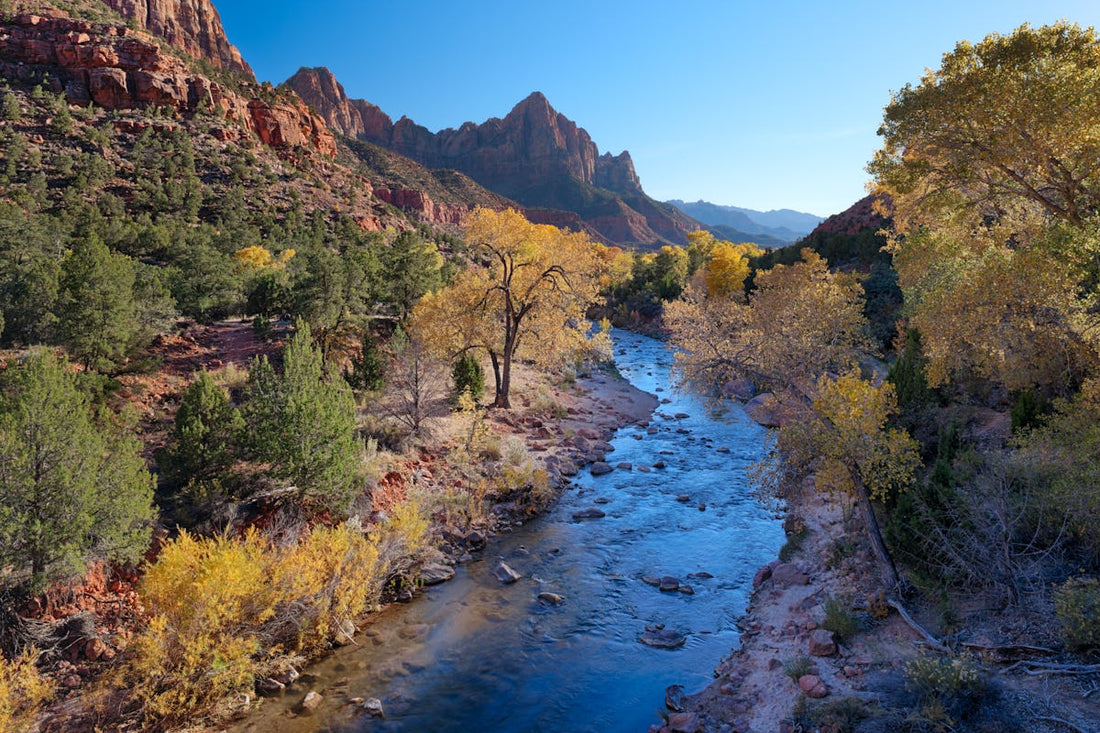 Top Banner Ads Design Agencies in Utah