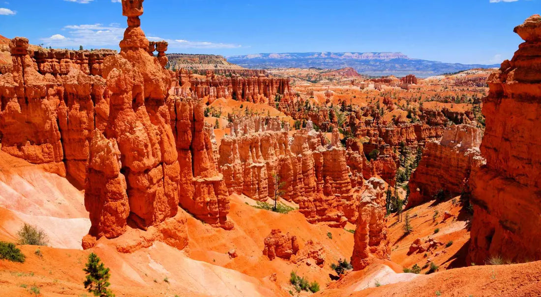Top App UI/UX Design Agencies in Utah