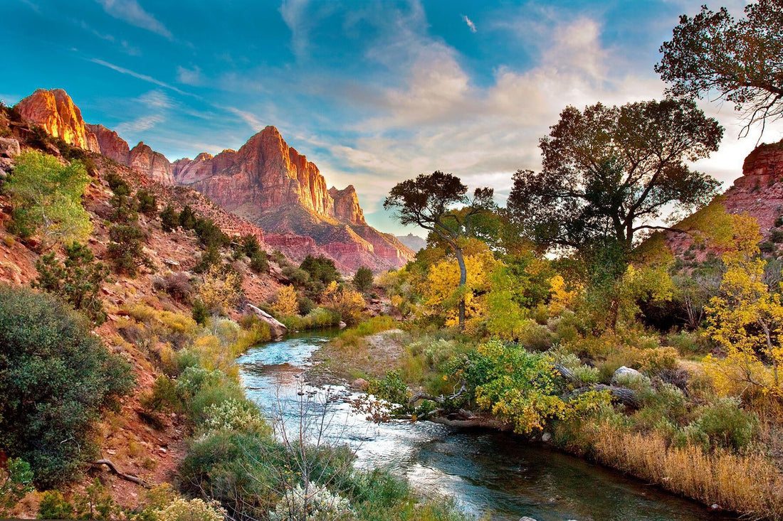 Top NFT Art Agencies in Utah