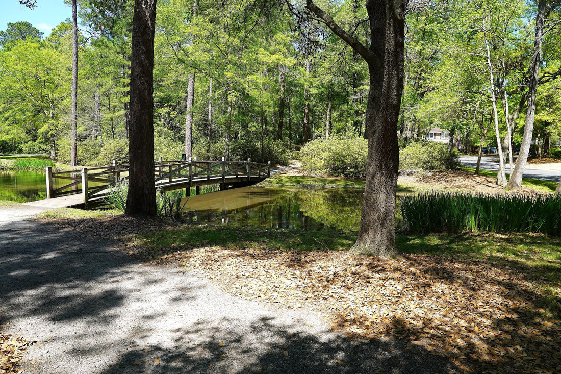 Top or Best Banner Ads Agencies and Companies in Summerville, South Carolina