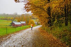Top Invitation Design Agencies in Vermont