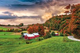 Top Postcard Design Agencies in Vermont