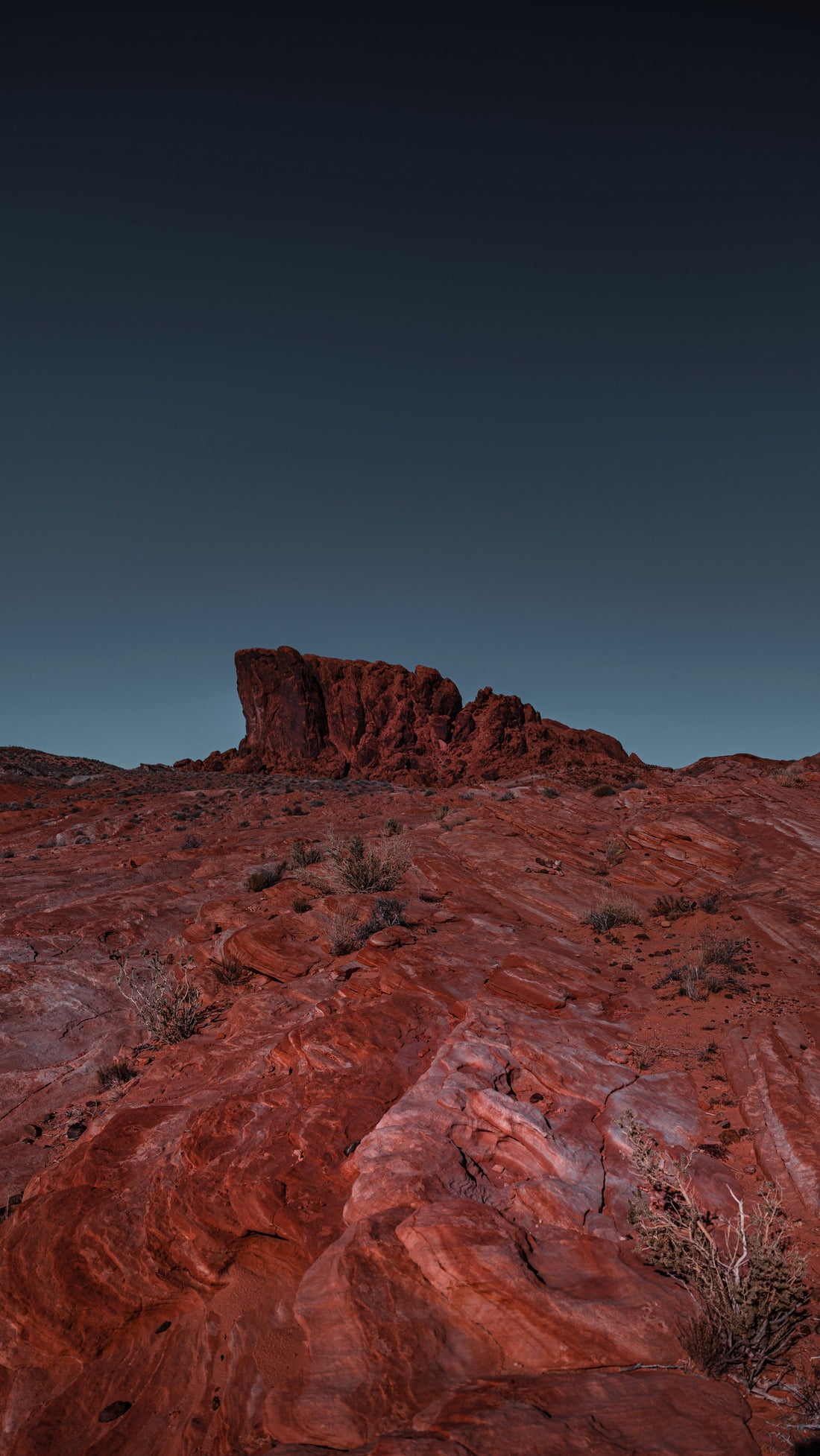 Top and Best Invitation Design Agencies and Companies in Sparks, Nevada