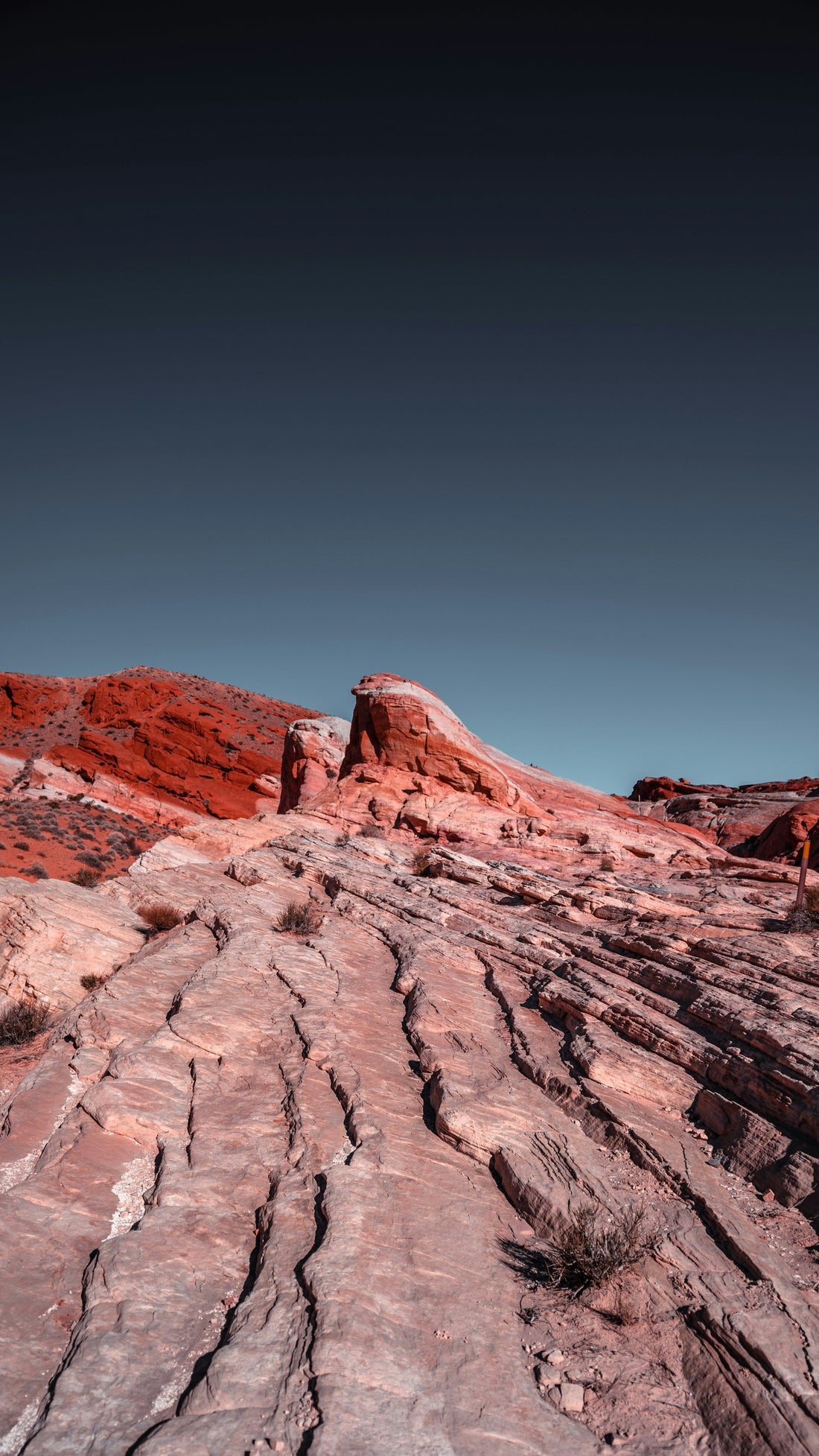 Top and Best Graphics for Streamers Agencies and Companies in Sparks, Nevada