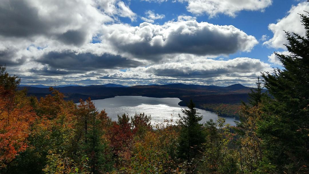 Top or Best Portraits and Caricatures Agencies and Companies in Essex, Vermont