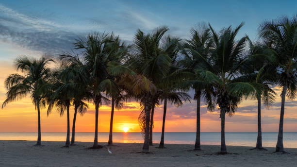 Top or Best Video Editing Agencies and Companies in Sunrise, Florida