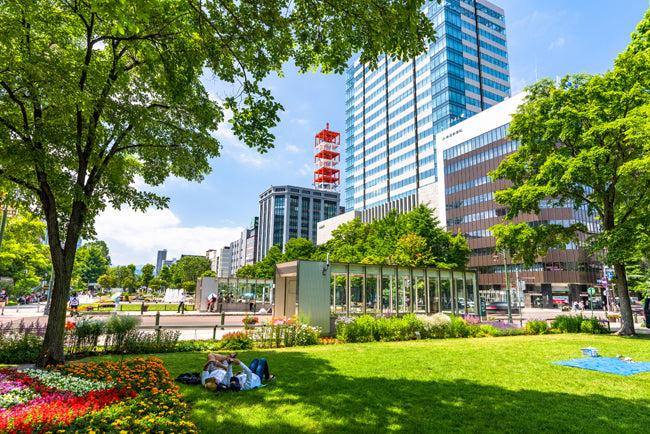 Top or Best Drawing & Illustration Agencies and Companies in Sapporo, Japan
